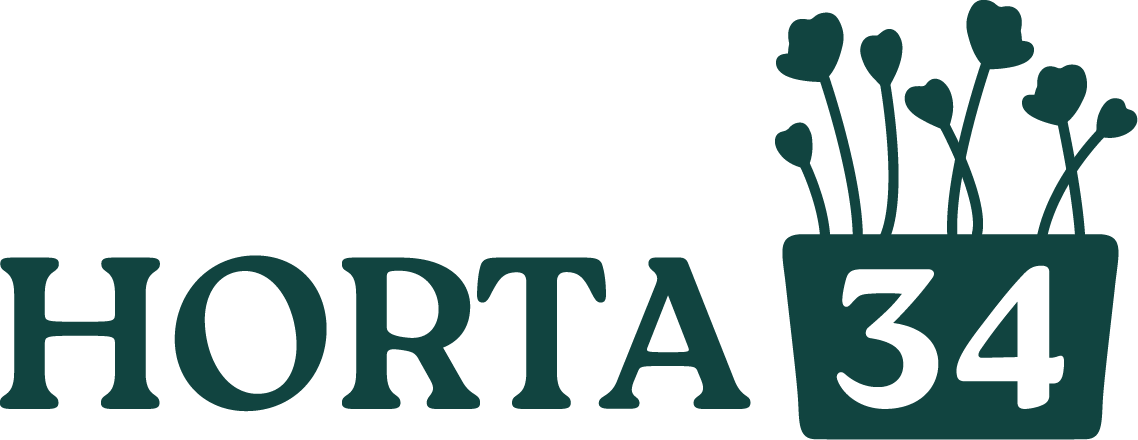 Horta 34