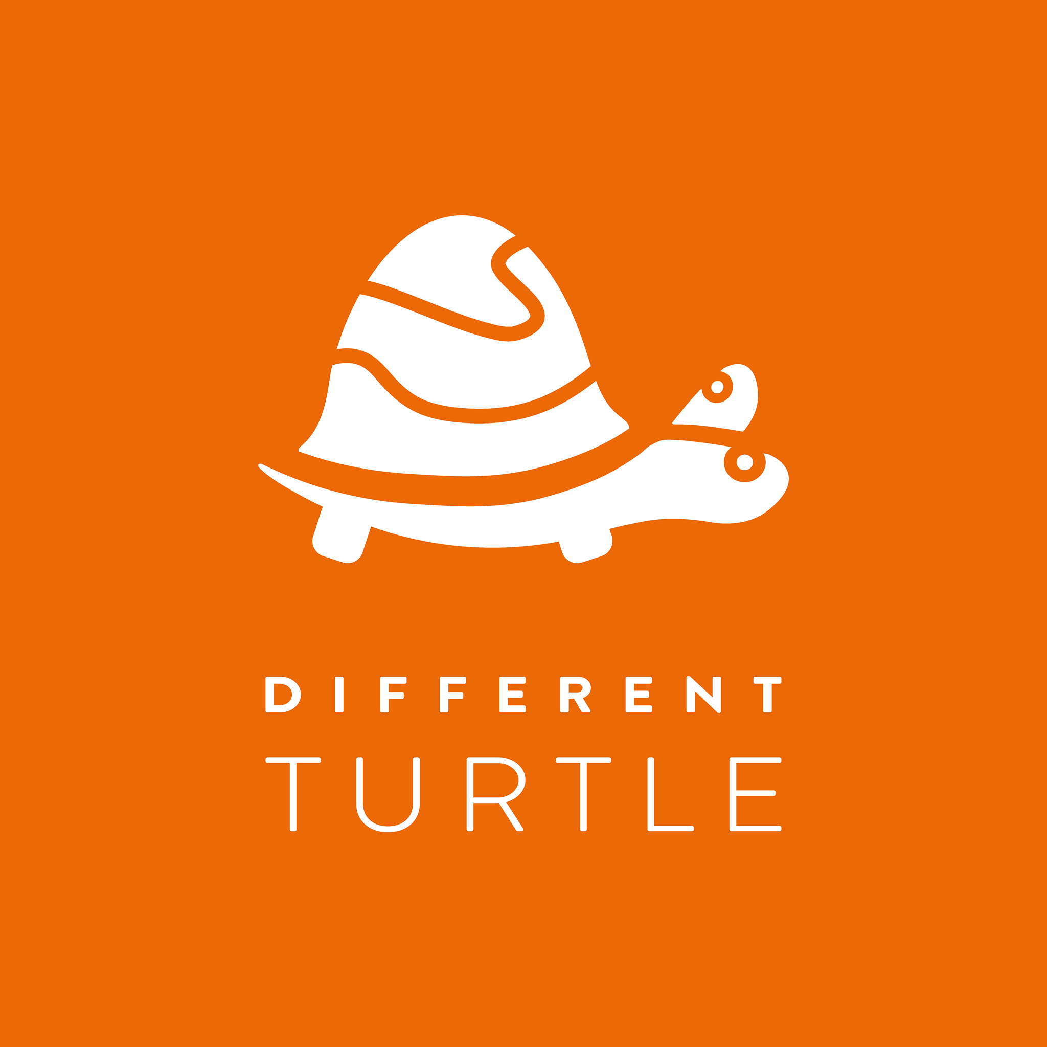 Different Turtle